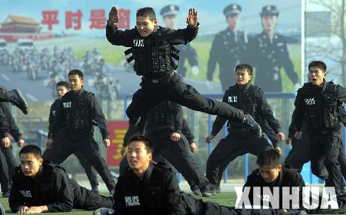 11月25日，北京特警在演练擒拿格斗术。