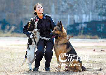 女孩训警犬苦中聊作乐