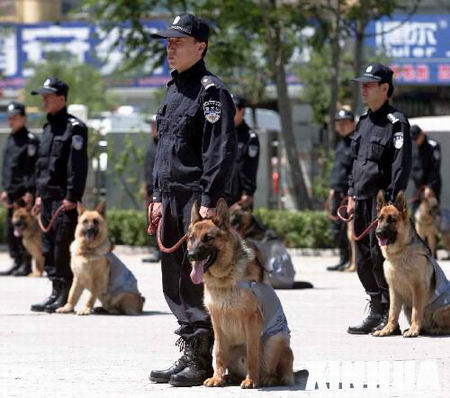 北京巡警开始全面携德国黑贝上街巡逻[组图][3]