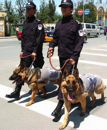 北京巡警开始全面携德国黑贝上街巡逻[组图][1]