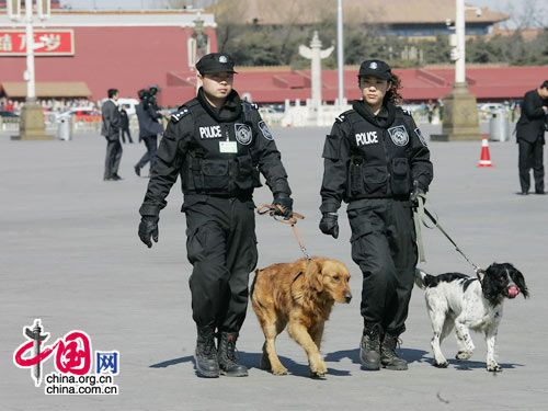 组图：特殊的“保卫者”