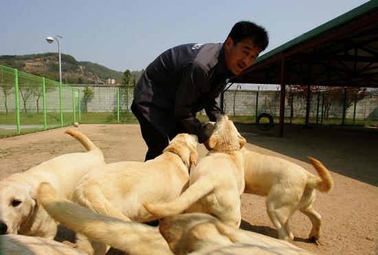 点击图片进入下一页