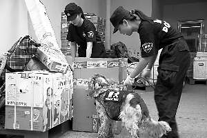 北京全面加强铁路安检 女性警犬训导员首亮相