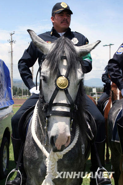 7月1日，环境警察在墨西哥首都墨西哥城列队操练。近日，墨西哥城正式设立了环境警察岗位，专门负责监督和保护墨城居民的生活环境，阻止非法砍伐树木、倾倒建筑垃圾、提取土壤和石料等破坏生态环境的行为。