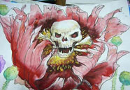 编号15-4:盘龙区新迎中学 编号15-4:盘龙区新迎中学