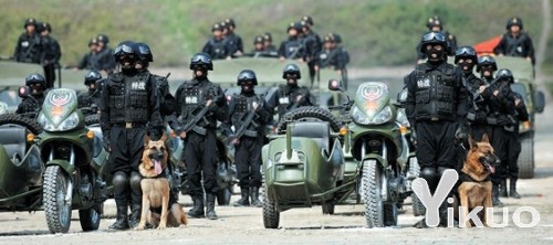 装备精良的特战队员整装待