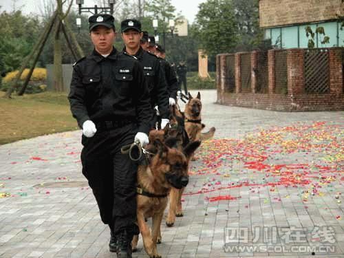 成都市公安局青羊分局警察训练基地今日启动(组图)