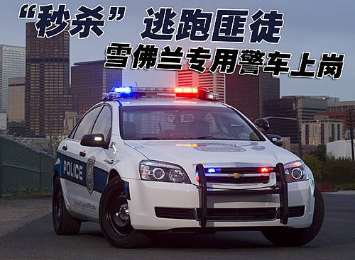 兰博基尼LP560？看看外国警察都开啥车