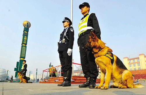 成都 全国首设警察礼宾岗