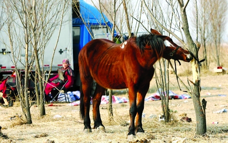 《水浒》违规拍戏郑州警察驱逐“梁山好汉”