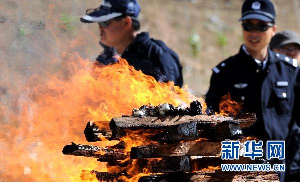     6月26日，西藏公安禁毒部门人员在拉萨焚烧毒品。当日是第23个国际禁毒日。西藏自治区禁毒委员会在拉萨集中焚烧2005年以来西藏公安禁毒部门收缴的毒品海洛因6.46公斤、大麻360.287公斤和冰毒、k粉和摇头丸等。 新华社记者 格桑达瓦 摄