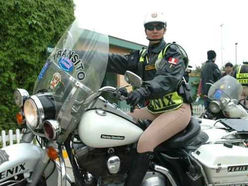 荷兰交警