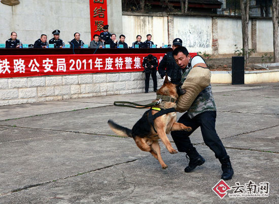昆铁警方特警大练兵强化处突防暴（组图）