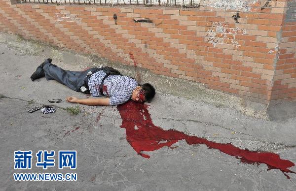 (新华直击)(1)苏湘渝系列持枪抢劫杀人案告破 周克华在渝被警方击毙