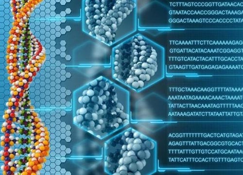 科学家开发新技术，成功实现DNA存储数据。