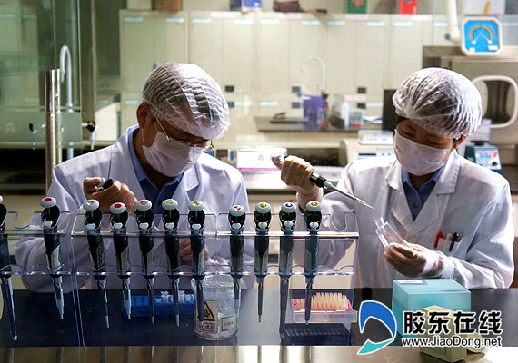 烟台公安DNA技术屡破大案