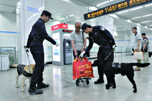 警员携警犬在轨交车站内检查。