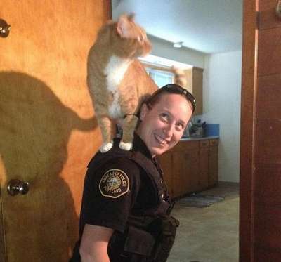 美国一宠物猫爬警察肩膀全程参与案件调查