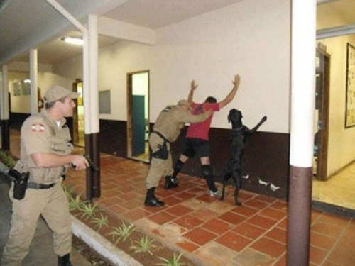 主人被警察搜身忠犬也摆同一姿势不离不弃（图）