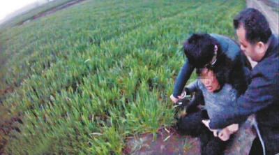 豫皖交界处警方端掉一贩毒窝点 茫茫麦田藏毒品