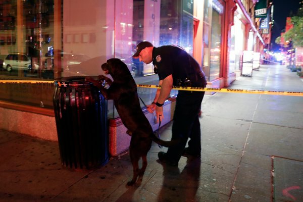 一名警察和他的警犬在爆炸地点附近搜查。