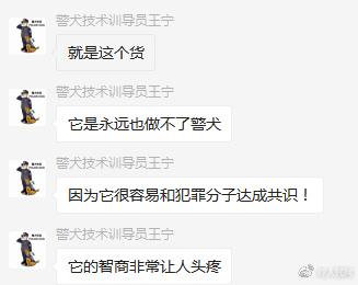 大狗主动投奔警局想做警犬 训导员:智商是硬伤