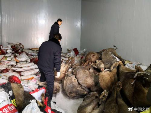 央广记者雷恺拍摄 点击进入下一页