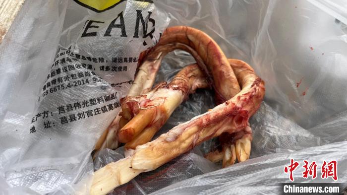 图为警方查获的部分野生动物胴体。 青海省公安厅供图 图为警方查获的部分野生动物胴体。 青海省公安厅供图