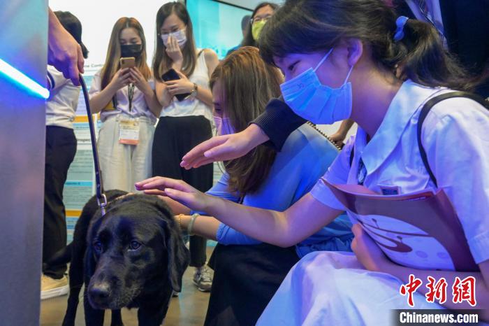 香港市民与警犬互动。　陈永诺 摄