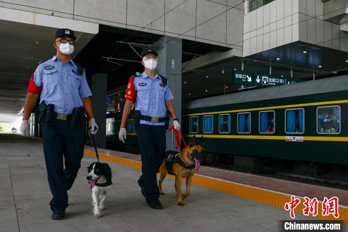 重庆警犬高温下保暑运安全每天检查近600件行李物品