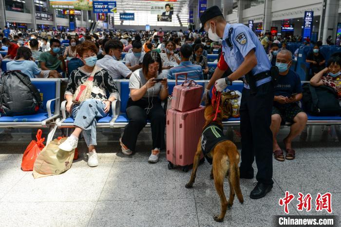 图为警犬“闪电”在重庆北站候车厅对旅客行李进行安全嗅查。　何蓬磊 　摄
