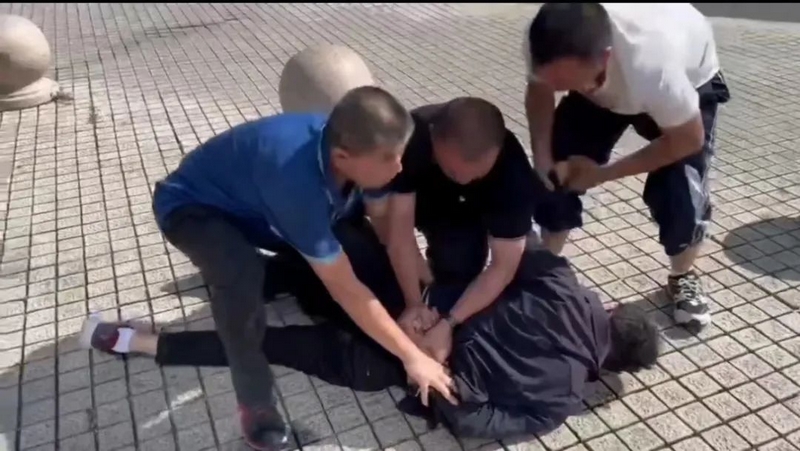 副局长李海、教导员高劲松、民警胡春林抓获犯罪嫌疑人。