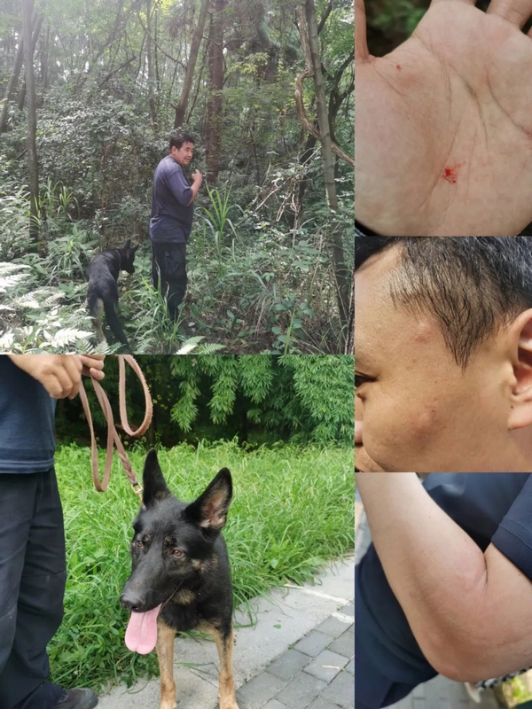 民警在山中搜寻嫌疑人身影。