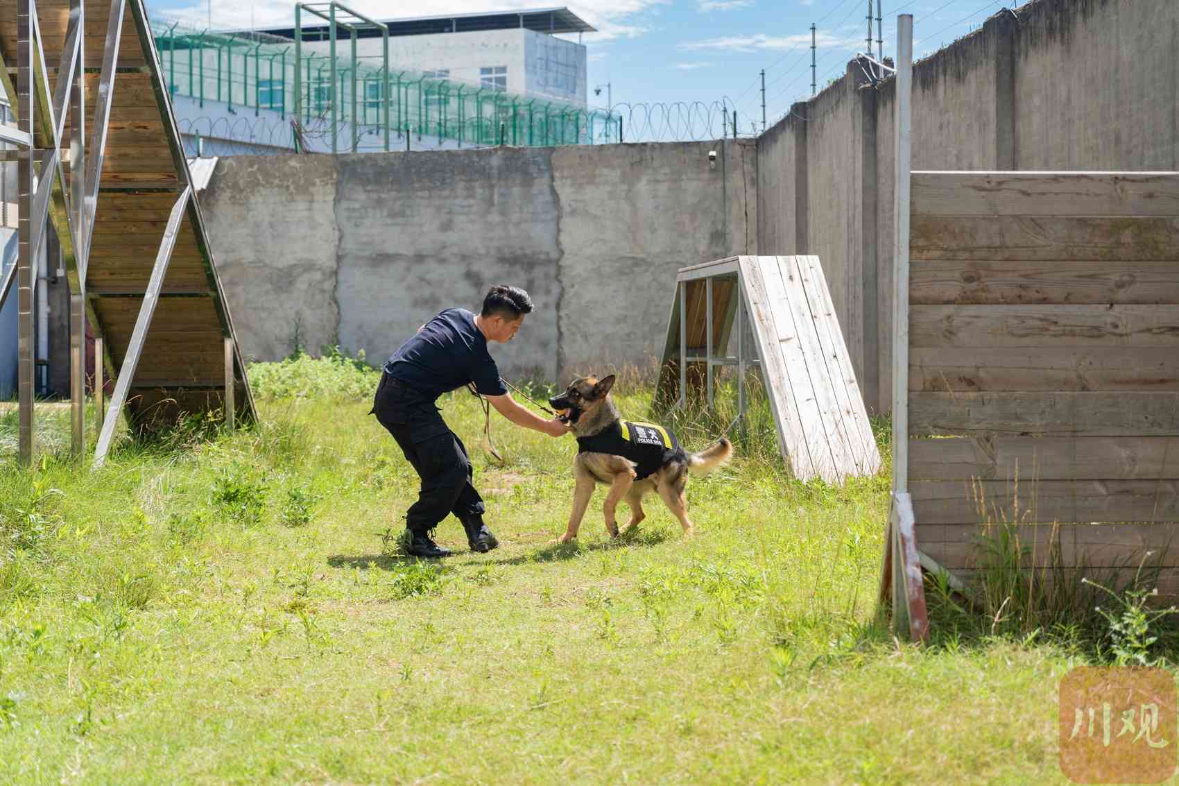 训练中的缉毒犬。资阳市公安局供图
