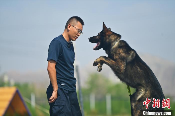 实拍铁路公安警犬练成记