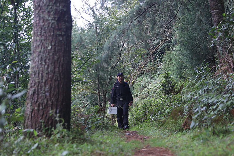 双江警察在茶山巡逻。临沧市公安局供图