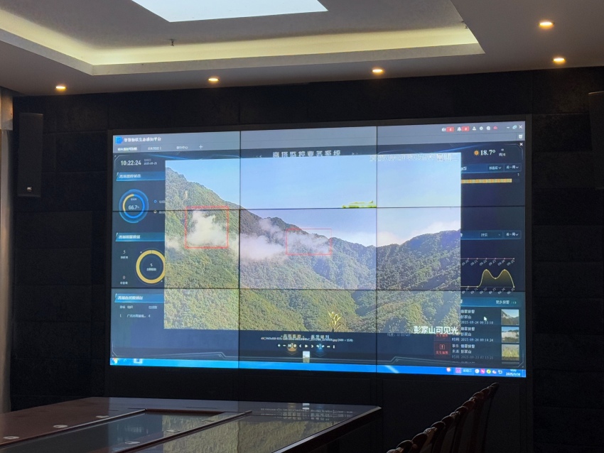 森林火情卫星监测平台。实习生张悦摄