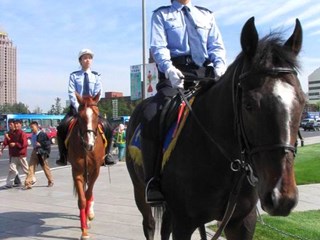 女骑警风采